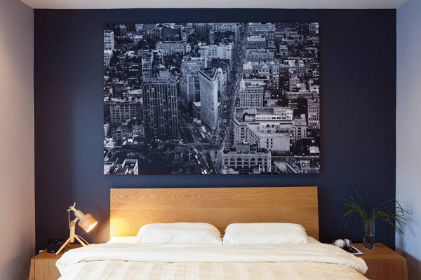 ����µ��������§