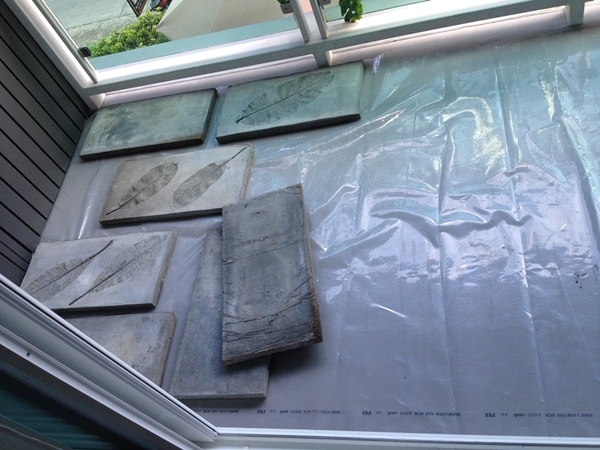 �Ѵ�ǹ�����������§�͹� �ҡ���ҡ�������ǹ����ѡ���� ! 