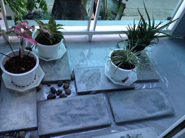 �Ѵ�ǹ�����������§�͹� �ҡ���ҡ�������ǹ����ѡ���� ! 