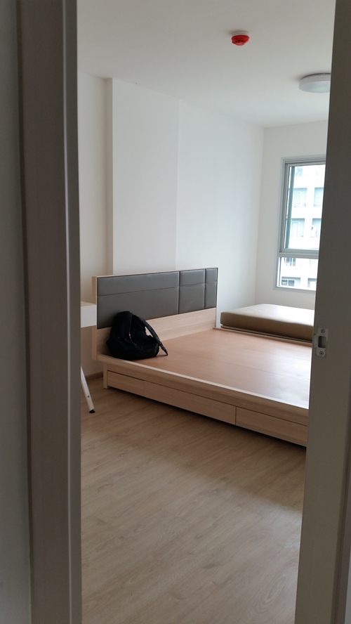 �觤͹��������͹�ç���