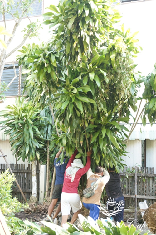 ����Ƿ��ҹ��ѧ�����Ҿ���� ����������ҹ��� ������ǹ���������Ẻ����