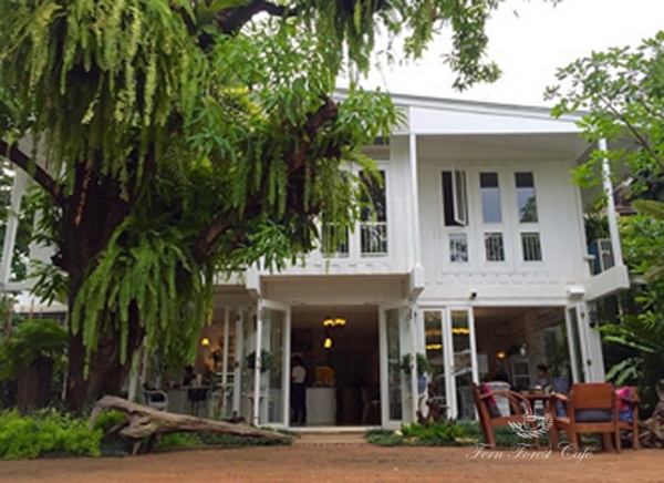 ����Ƿ��ҹ��ѧ�����Ҿ���� ����������ҹ��� ������ǹ���������Ẻ����