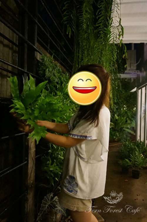 ����Ƿ��ҹ��ѧ�����Ҿ���� ����������ҹ��� ������ǹ���������Ẻ����