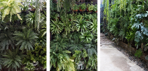 ����Ƿ��ҹ��ѧ�����Ҿ���� ����������ҹ��� ������ǹ���������Ẻ����