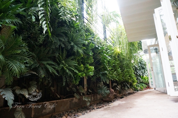 ����Ƿ��ҹ��ѧ�����Ҿ���� ����������ҹ��� ������ǹ���������Ẻ����