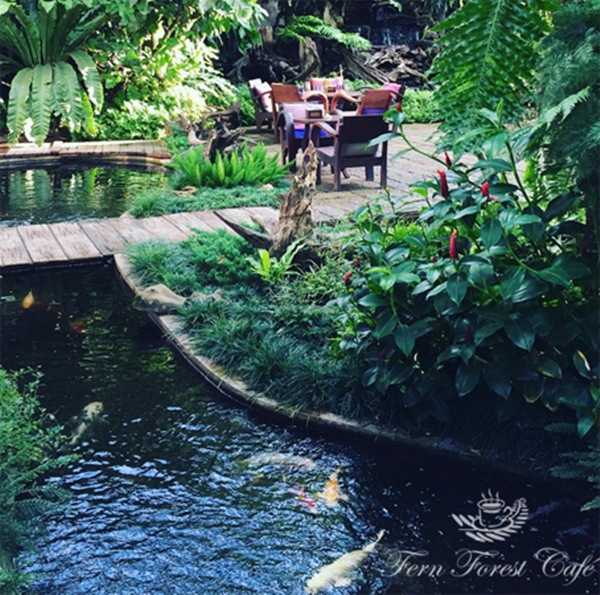 ����Ƿ��ҹ��ѧ�����Ҿ���� ����������ҹ��� ������ǹ���������Ẻ����