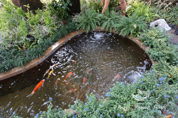 ����Ƿ��ҹ��ѧ�����Ҿ���� ����������ҹ��� ������ǹ���������Ẻ����