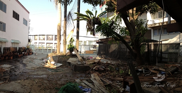 ����Ƿ��ҹ��ѧ�����Ҿ���� ����������ҹ��� ������ǹ���������Ẻ����