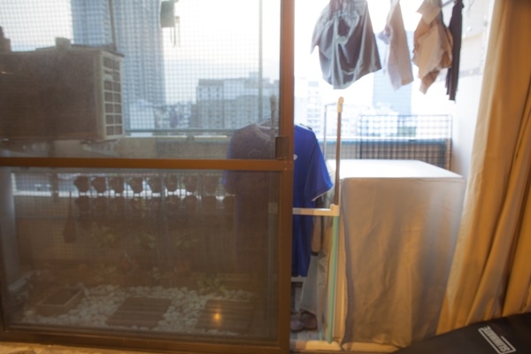 ������觤͹�ⴹ� ���Թ�ʵٴ�����ǹ������ͧ���ӧҹ�����Ҿ ����������觷ӧҹ�ش��