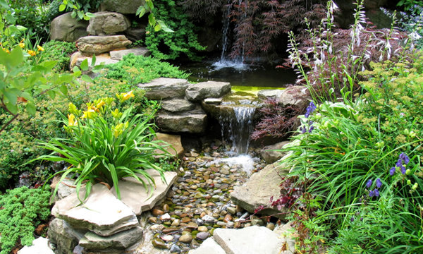 �Ѵ�ǹ ͧ���Сͺ��ѡ����繨شʹ�