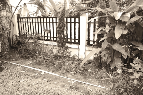 �Ѵ�ǹ�����ѧ��� ���ͧ������ҡ���