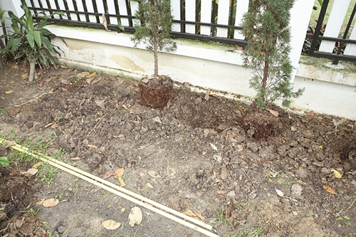 �Ѵ�ǹ�����ѧ��� ���ͧ������ҡ���