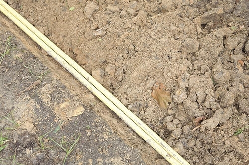 �Ѵ�ǹ�����ѧ��� ���ͧ������ҡ���