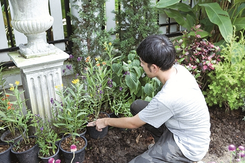 �Ѵ�ǹ�����ѧ��� ���ͧ������ҡ���