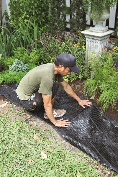 �Ѵ�ǹ�����ѧ��� ���ͧ������ҡ���