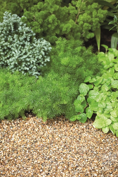 �Ѵ�ǹ�����ѧ��� ���ͧ������ҡ���