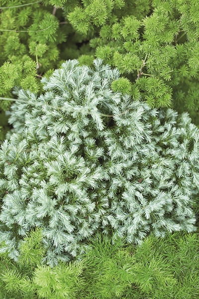 �Ѵ�ǹ�����ѧ��� ���ͧ������ҡ���