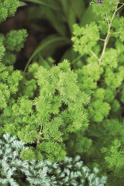 �Ѵ�ǹ�����ѧ��� ���ͧ������ҡ���