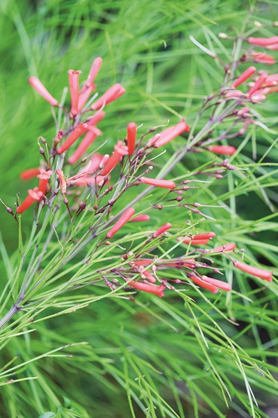 �Ѵ�ǹ�����ѧ��� ���ͧ������ҡ���