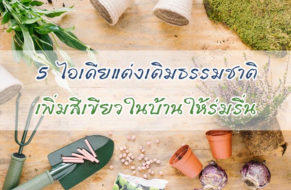 5 ���������������ҵ� ����������㹺�ҹ���������