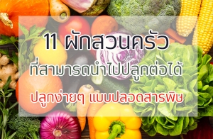 11 �ѡ�ǹ���Ƿ������ö��任�١����� ��١����� Ẻ��ʹ��þ��