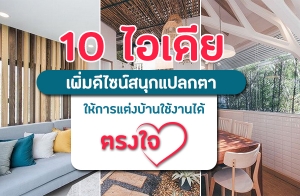 10 ����� ������䫹�ʹء�š��������觺�ҹ��ҹ��ç�