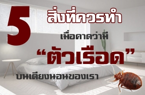 5 ��觷���÷� ����ͤҴ����� "������ʹ" ���躹��§�͹�ͧ���