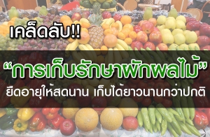 ����Ѻ "����纼ѡ�����" �״�������ʴ�ҹ ������ǹҹ���һ���