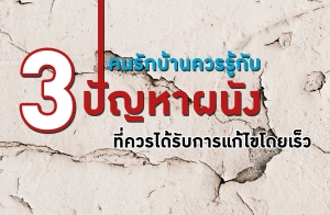 ���ѡ��ҹ������Ѻ 3 �ѭ�Ҽ�ѧ��������Ѻ������������