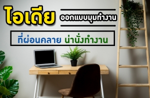 ������͡Ẻ����ӧҹ ����͹���� ��ҹ�觷ӧҹ