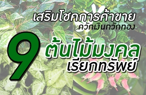 �����⪤��ä�Ң�� ��ѡ�Թ��ѡ�ͧ �Ѻ 9 ������������¡��Ѿ��