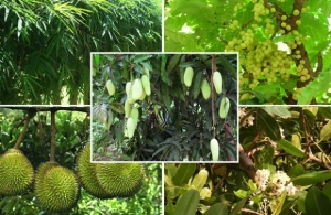 ��������Ť�û�١����˹ ������ǧ�繷������