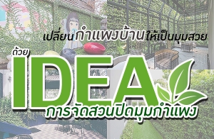 ����¹��ᾧ��ҹ����������� ��������¡�èѴ�ǹ�Դ�����ᾧ