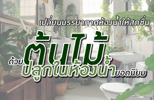 ����¹����ҡ����ͧ������ʴ��� ���µ�����١���ͧ����ʹ����