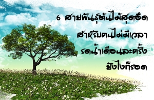 6 ��¾ѹ��������ش�ִ ����Ѻ����������� ô�����͹�Ф��� �ѧ䧡��ʹ