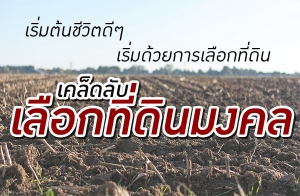 ������鹪��Ե��� ��������¡�����͡���Թ "����Ѻ���͡���Թ����"