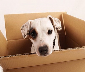 5 ����Ӥѭ �����������͹���ѵ������§���º�ҹ