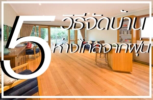 ��������� 5 ��ѡ��ç��������ҧ�Ž��