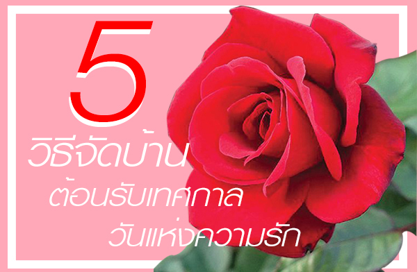 5 �Ըա�èѴ��ҹ��͹�Ѻ�ȡ�� �ѹ��觤����ѡ