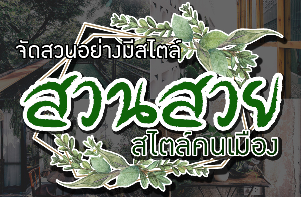 �Ѵ�ǹ���ҧ������ �����ǹ������줹���ͧ