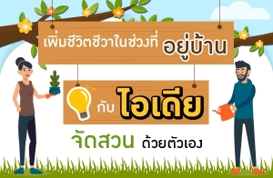 �������Ե����㹪�ǧ��������ҹ �Ѻ����¨Ѵ�ǹ���µ���ͧ