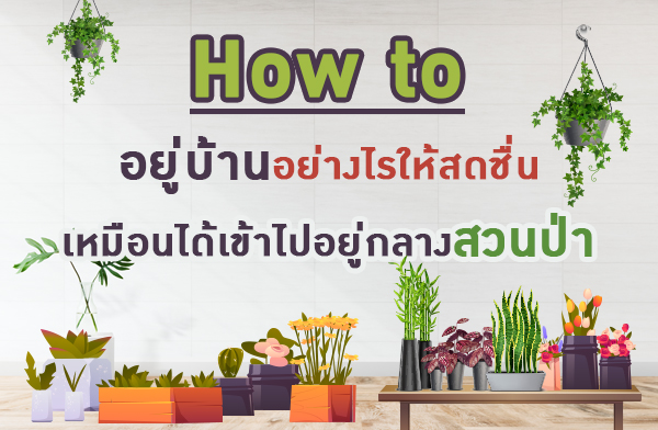 How to �����ҹ���ҧ�����ʴ��� ����͹�����������ҧ�ǹ���