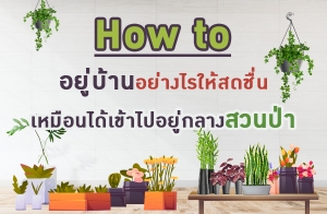 How to �����ҹ���ҧ�����ʴ��� ����͹�����������ҧ�ǹ���