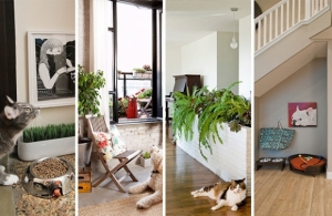 9 �Ը��觺�ҹ�������ͤ��ѡ��ͧ��� ��й�ͧ���