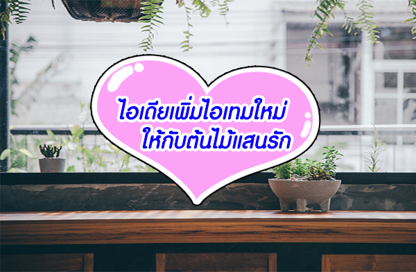 ��������������������Ѻ������ʹ�ѡ