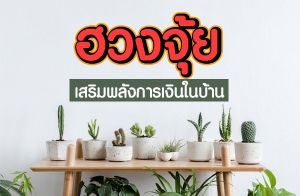 "�ǧ����" �������ѧ����Թ㹺�ҹ