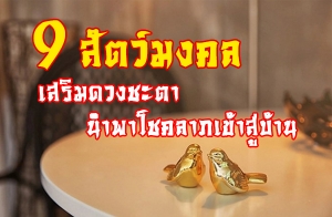 9 �ѵ������ ������ǧ�е� �Ӿ�⪤����������ҹ