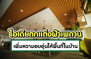 ����µ��觽�� ���ྴҹ ��������ͺ�������鹷��㹺�ҹ