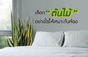 ���͡ "�����" ���ҧ���������СѺ��ͧ