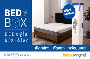 "Bed  Box" ѵ͹ٻèءͧ Ҷ֧ء鹷 Դͧ..Ѵ͡..͹ Ѻſ New Normal